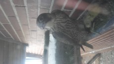 20170715_170920.jpg