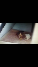 IMG-20170718-WA0001.jpg