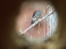 IMG_5246.JPG