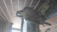 20170715_170931.jpg