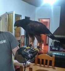 IMG_20170727_145402.JPG
