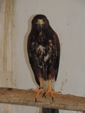 DSCN0430.JPG