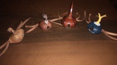 IMG-20170728-WA0017.jpeg