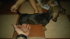 IMG-20170728-WA0031.jpeg