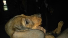 IMG-20170728-WA0017.jpeg