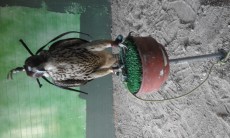 20160924_183633.jpg
