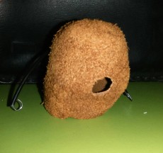 IMG_20170803_184221.jpg
