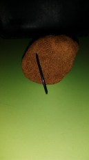IMG-20170803-WA0009.jpeg
