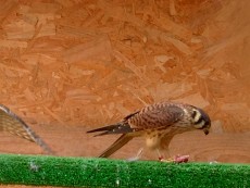 IMG_1573.JPG