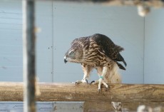 IMG_20170823_124510.jpg