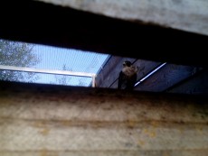 IMG_20170829_103047.jpg
