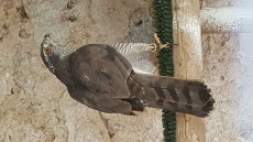 20170707_203104.jpg
