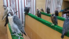 20170921_134305.jpg