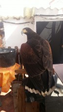 IMG-20170928-WA0009.jpg