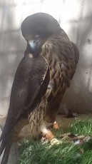 IMG-20171008-WA0002.jpg