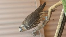 20170926_100422.jpg