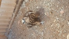 20170926_100411.jpg