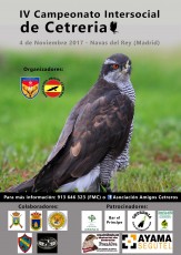 Último cartel del campeonato del 4 de noviembre.<br />Nos vemos alli