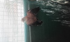 20170819_093141.jpg