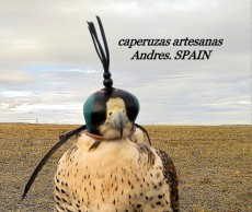 holandesas para halcones