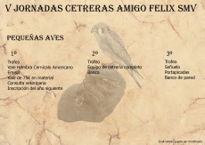 Premios Pequeñas.jpg