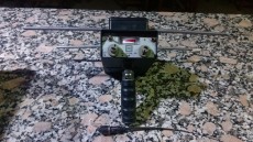 IMAG0327.jpg