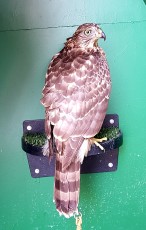20171022_153312.jpg