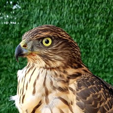 20170920_132412.jpg