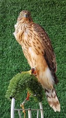 20170920_132121.jpg