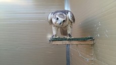 IMG-20171114-WA0039.jpg
