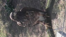 20171122_140657.jpg