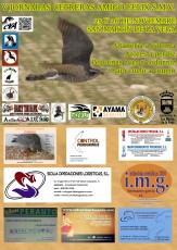Cartel 2017 patrocinadores 2.jpg