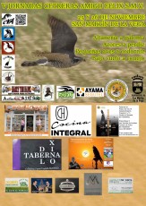 Cartel 2017 patrocinadores 3.jpg