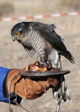 IMG_3851.JPG