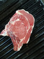 Chuletón de Ávila, peso de vuelo 1,225g, parental, 16 días curación,