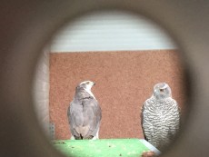 IMG_1845.JPG