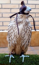 20170930_194738.jpg