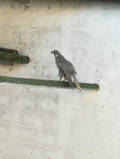 IMG_20171205_135240.jpg