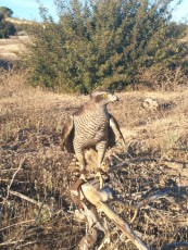 IMG_20171230_164431.jpg