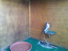 IMG_20171205_120645.jpg