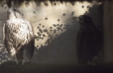 D8454810-7D28-4682-95B1-A440519E6A2C.jpeg