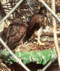 20180119_113059-1.jpg