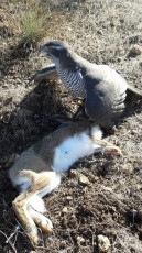 IMG-20171223-WA0009.jpg