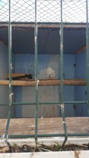 IMG-20171120-WA0010.jpg