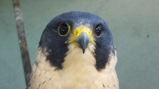 20180217_142257.jpg