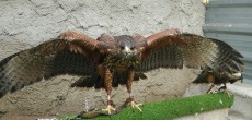 IMG_20180218_160657.jpg