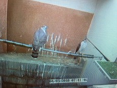 IMG_6681.JPG