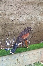 IMG_20180330_205420.jpg