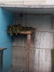 IMG_20180408_193827.jpg