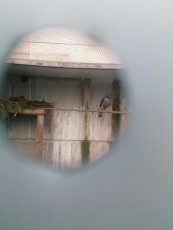 IMG_20180408_193904.jpg